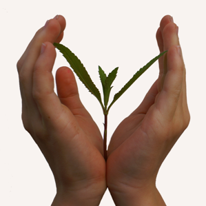 Protecziun da la natira