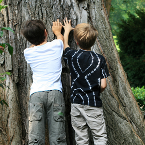 Giai or da las stanzas da scola!