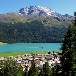 Svilup dal territori