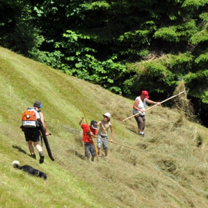 La populaziun dal Grischun