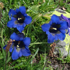 «Giansauna senza moni»