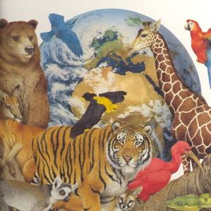 Atlas dals animals