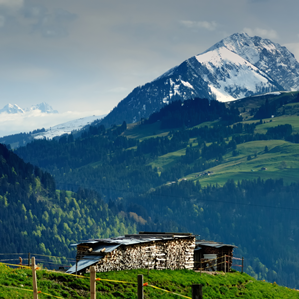 Gruyère Pays-d’Enhaut 