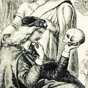 Il senn da la vita