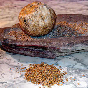 Revoluziun neolitica