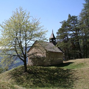 Cultura da bajegiar Grischun