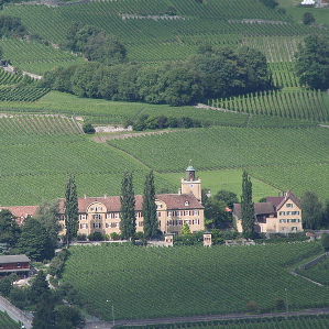 Tschintg Vitgs e Signuradi