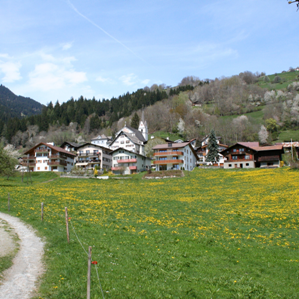Schluein