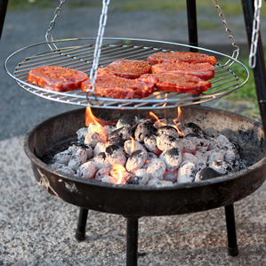 Grillar