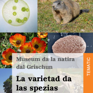 Flora e fauna indigena