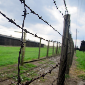 Ils ultims survivents