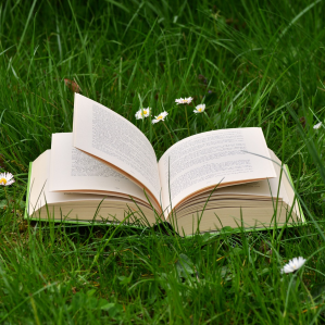 Dals origins al temp preschent