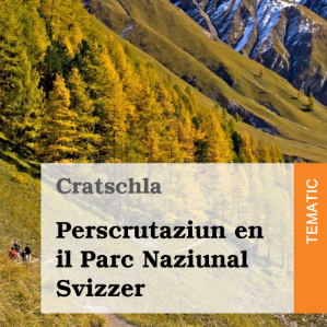 Cratschla